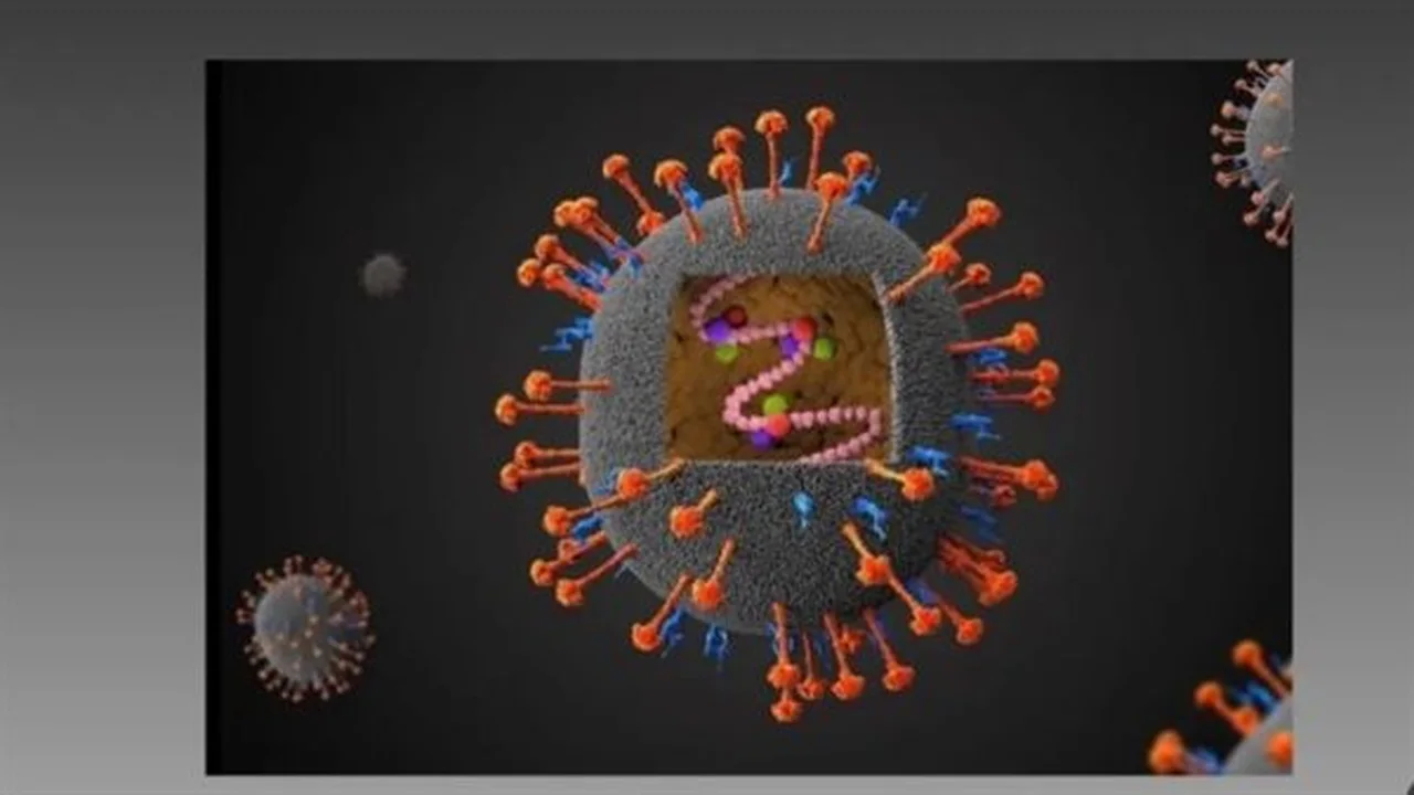 تحذيرات صحية عالمية.. سبل الوقاية من فيروس نيباه بعد انتقاله للبشر بآسيا